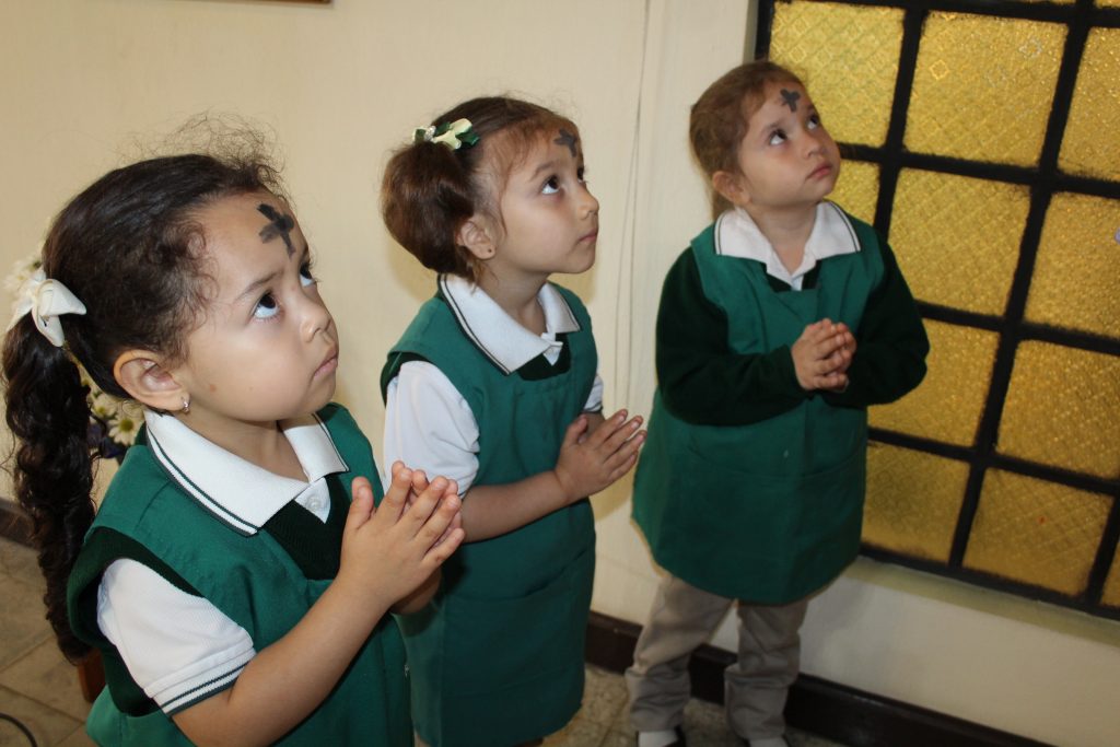 IMG_0042-1024x683